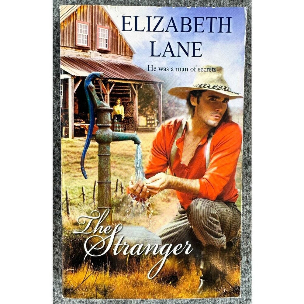 The Stranger by Elizabeth Lane (Paperback)